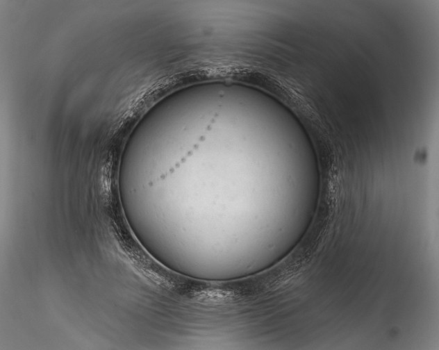 X0000115770691200911271141