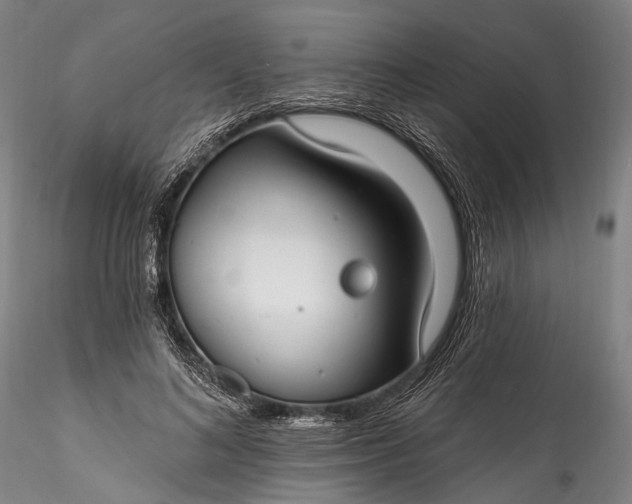 X0000115770692200911271141