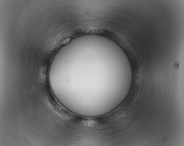 X0000115770695200911271141