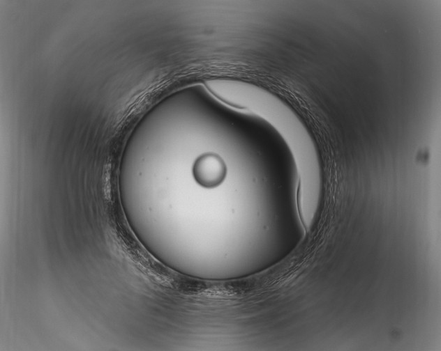 X0000115770696200911271141