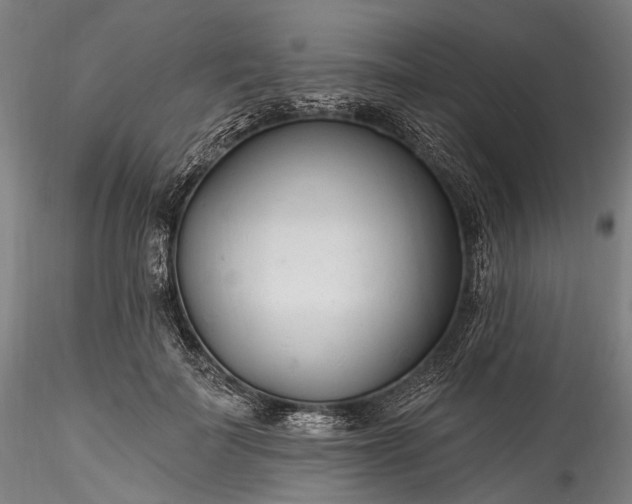 X0000115770699200911271141