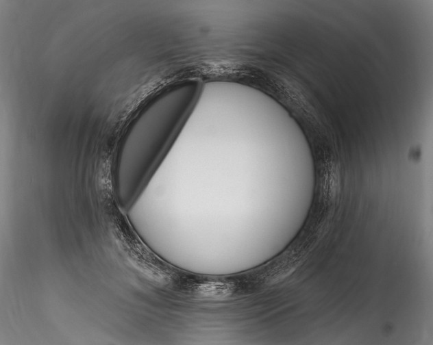 X0000115770700200911271141