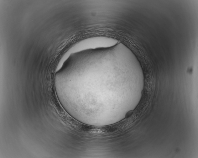 X0000115770704200911271141