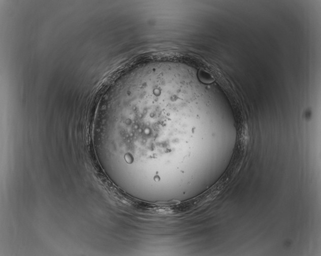 X0000115770715200911271140