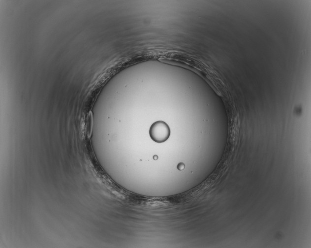 X0000115770716200911271140