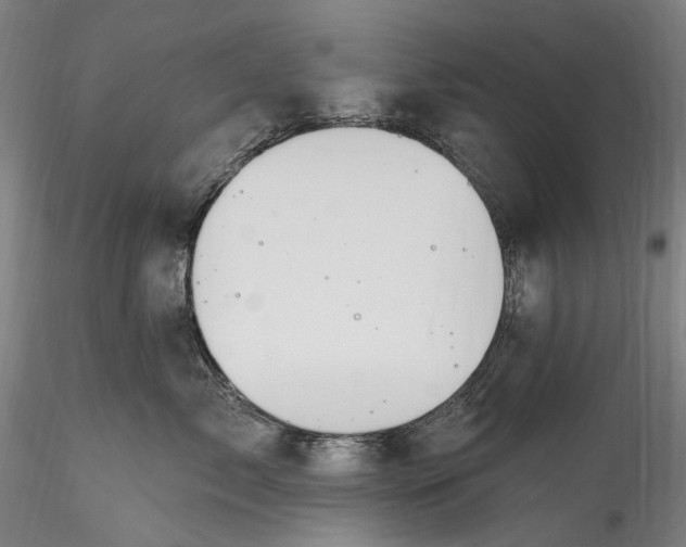 X0000115770717200911271140