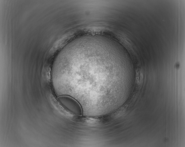 X0000115770718200911271140