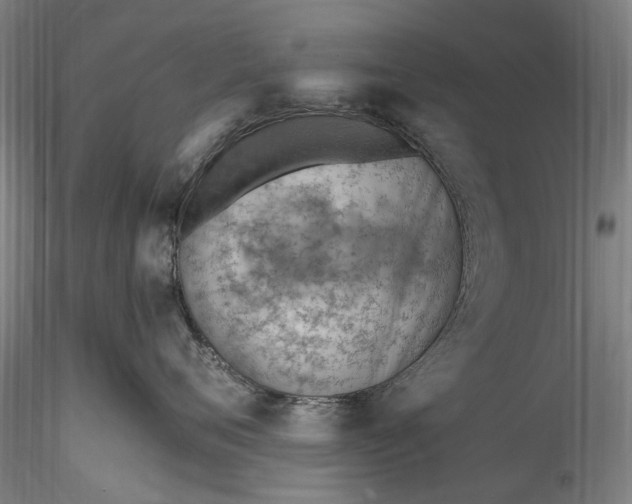 X0000115770720200911271140