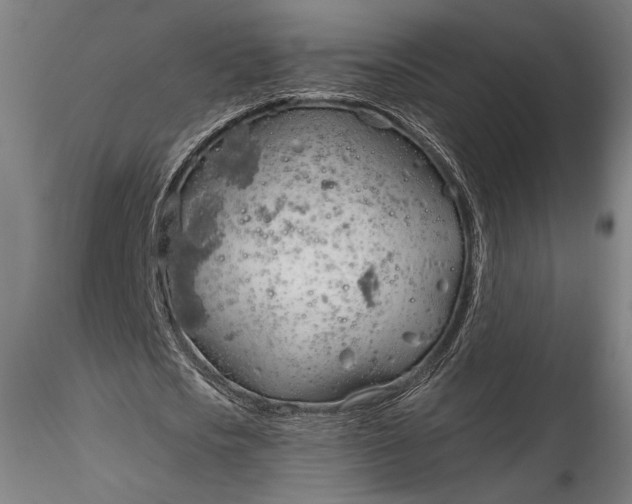 X0000115770721200911271139