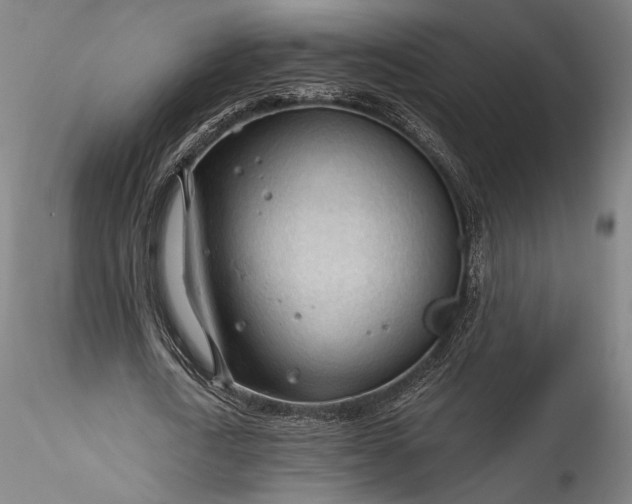 X0000115770722200911271139