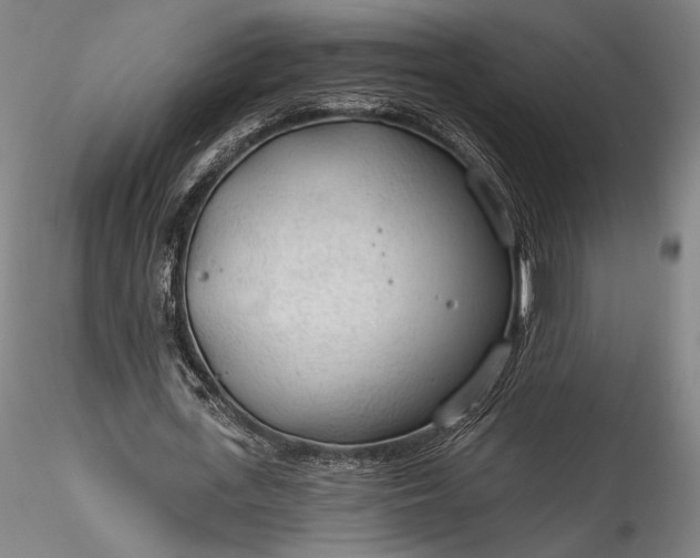 X0000115770723200911271139