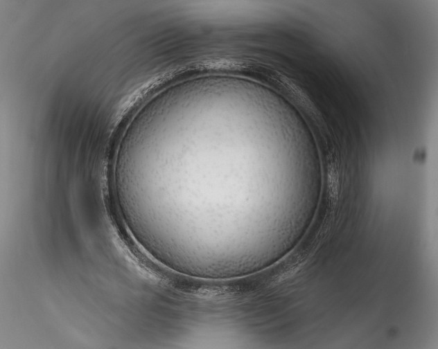 X0000115770725200911271139