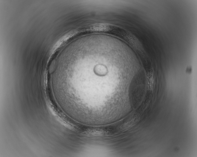 X0000115770726200911271139