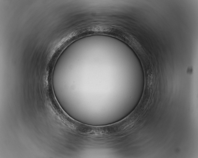 X0000115770727200911271139