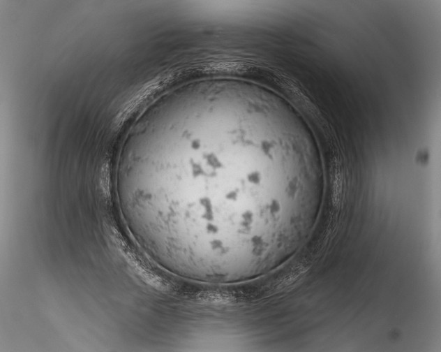 X0000115770729200911271140