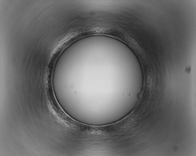 X0000115770730200911271140