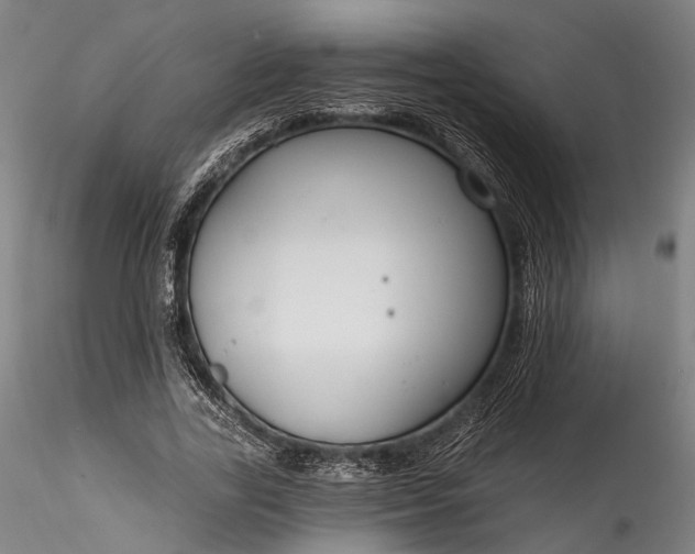 X0000115770731200911271140