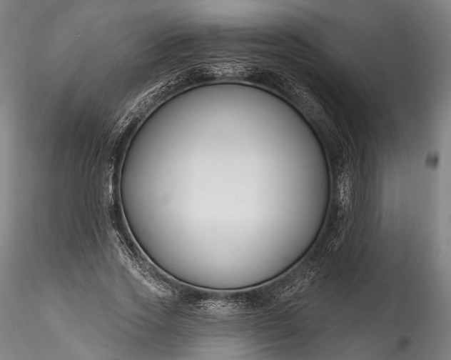 X0000115770733200911271140