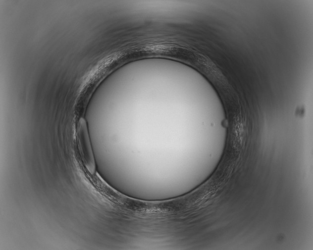 X0000115770734200911271140