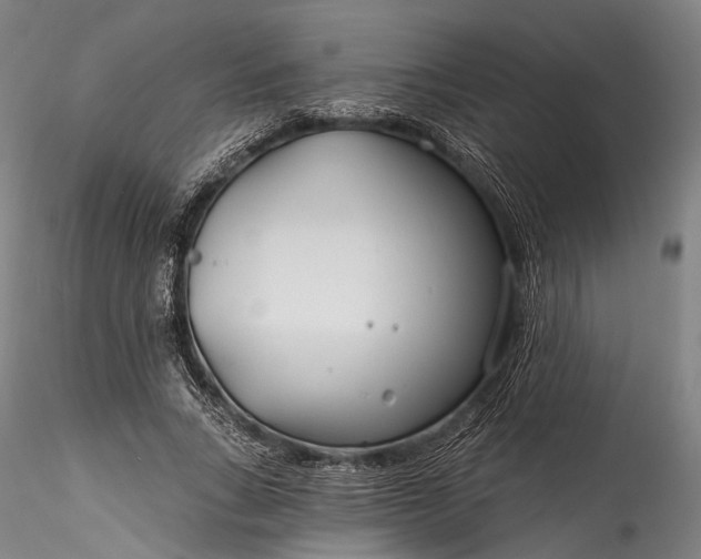 X0000115770735200911271140