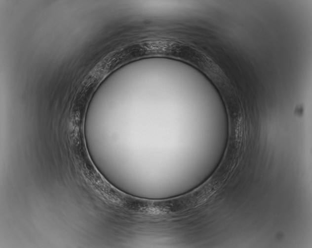 X0000115770737200911271140