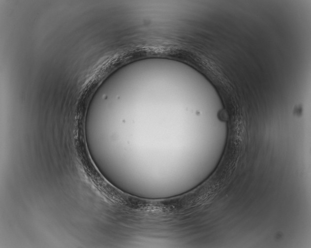 X0000115770738200911271140