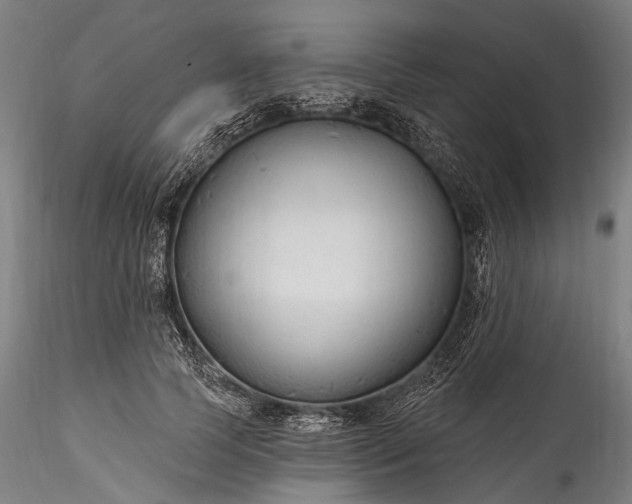 X0000115770745200911271140