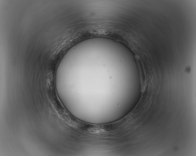 X0000115770747200911271140