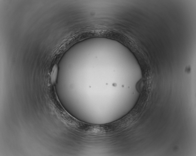 X0000115770750200911271140