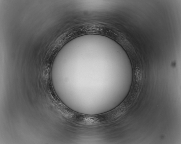 X0000115770753200911271140