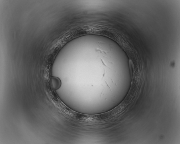 X0000115770755200911271140