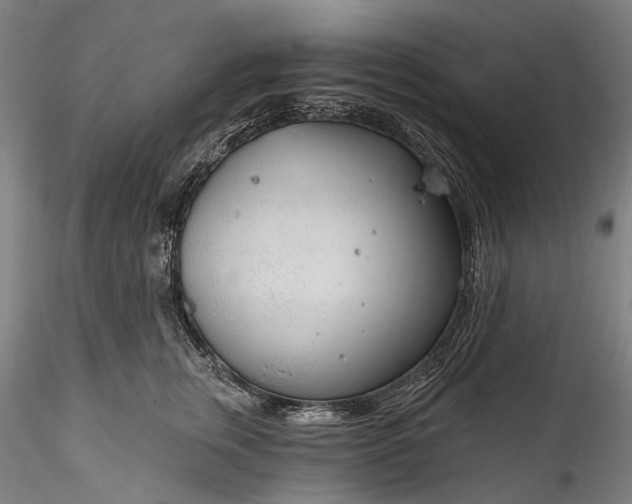 X0000115770759200911271140