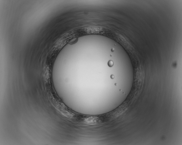 X0000115770761200911271140