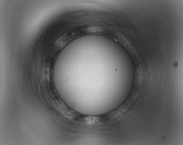 X0000115770762200911271140