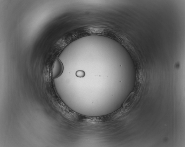 X0000115770763200911271140