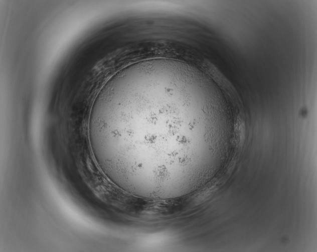 X0000115770765200911271140