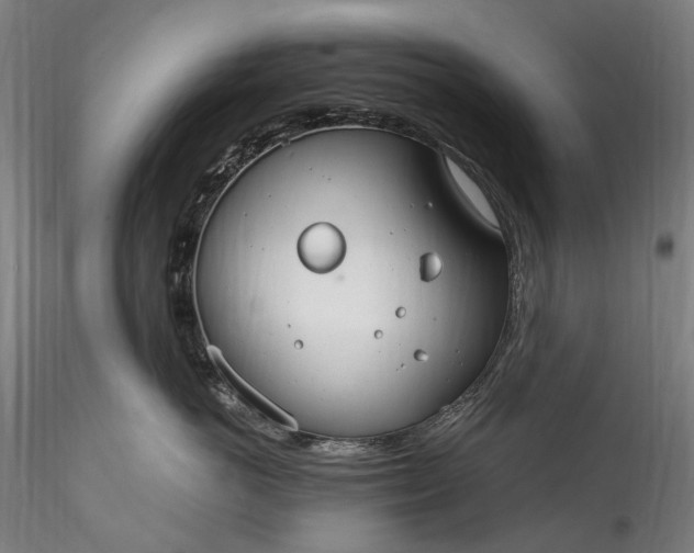 X0000115770766200911271140