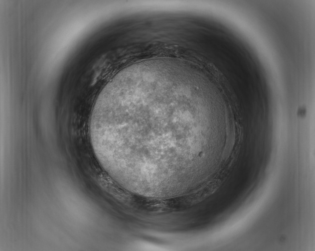 X0000115770767200911271140