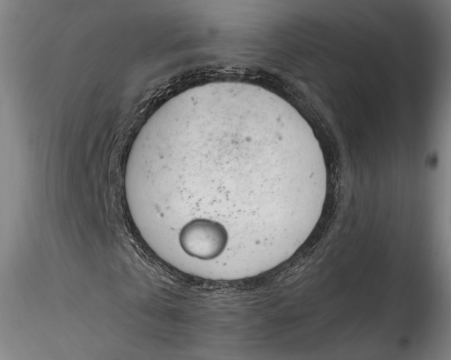 X0000115770769200911271139