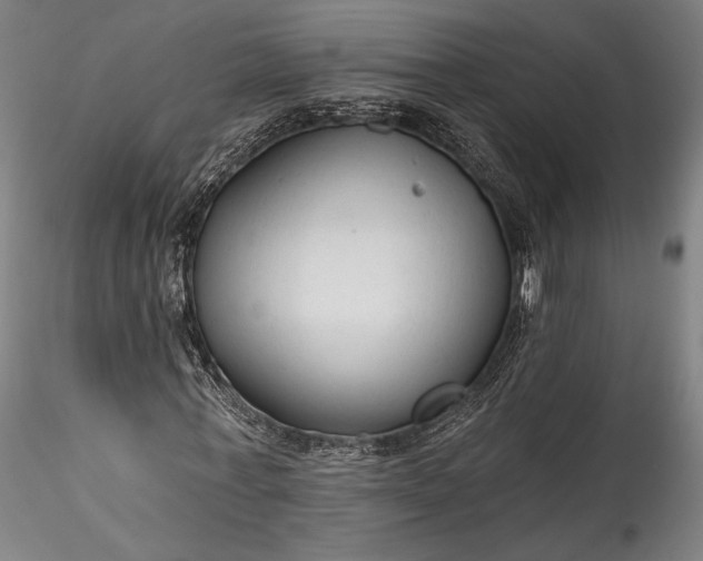 X0000115770771200911271139