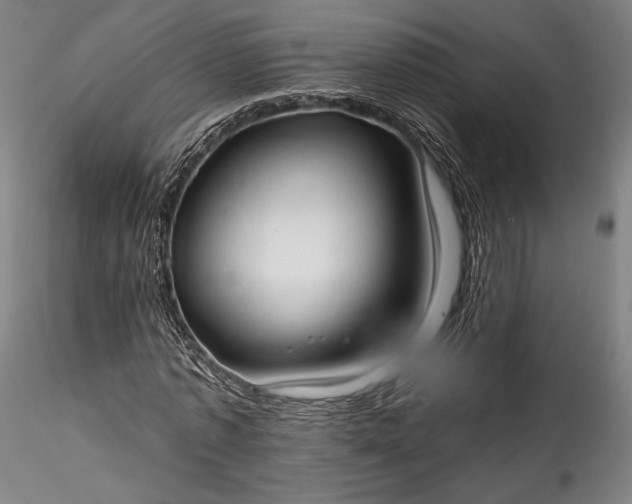 X0000115770773200911271139