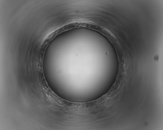 X0000115770775200911271139