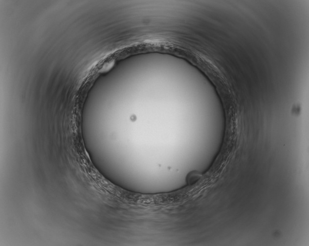 X0000115770776200911271139