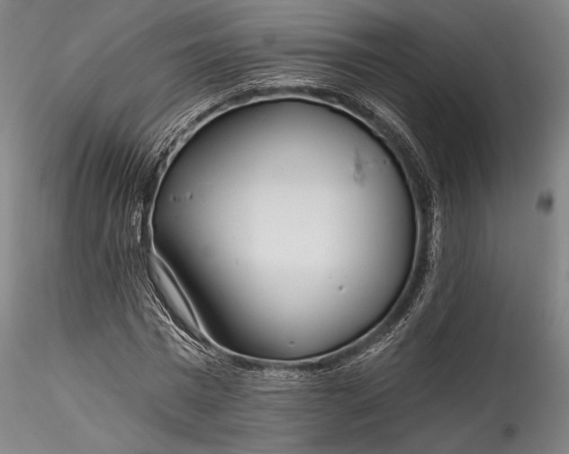 X0000115770777200911271139