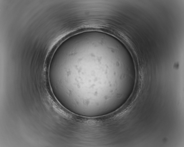 X0000115770779200911271139