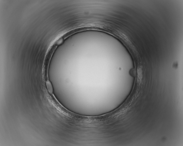 X0000115770780200911271139