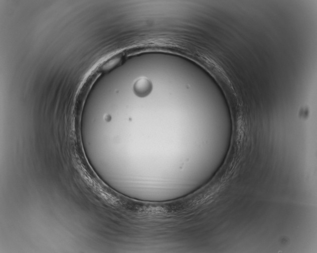 X0000115770784200911271139