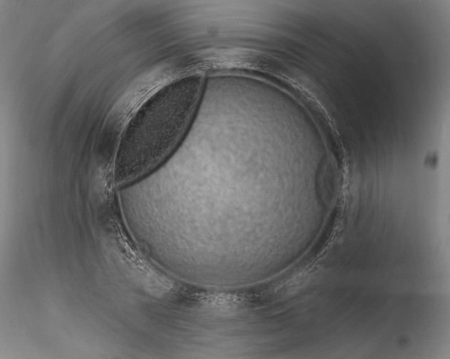 X0000115770785200911271139