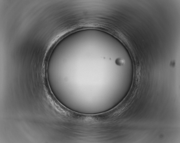 X0000115770787200911271139