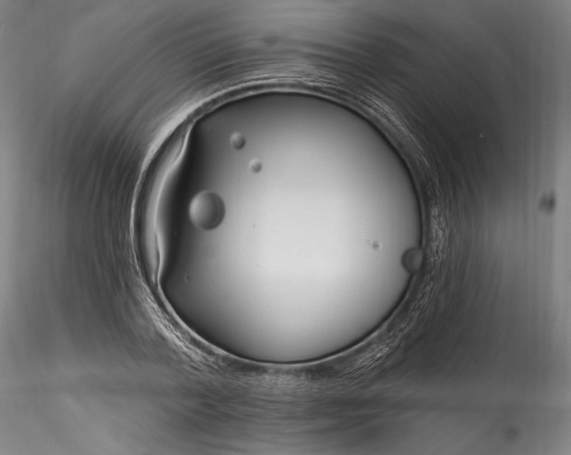 X0000115770788200911271139